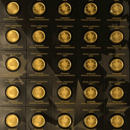 Gold 25 x 1 Gramm Maple Leaf
